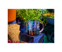 Beyond Measure 2-Cup Accessories Great Jones