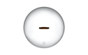 Small Lid cookware Great Jones